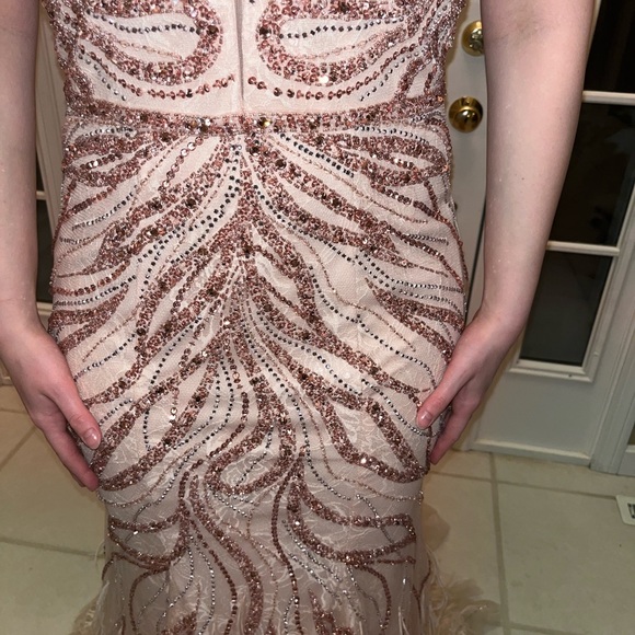 Never worn prom dress. NWT ostrich feathers adorned with substantial beading. - Picture 5 of 6